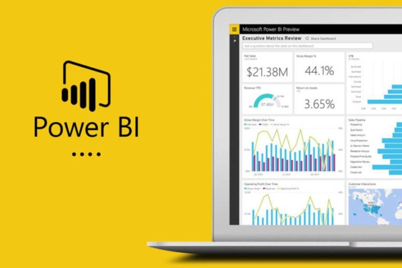 Microsoft Power Bi Pro